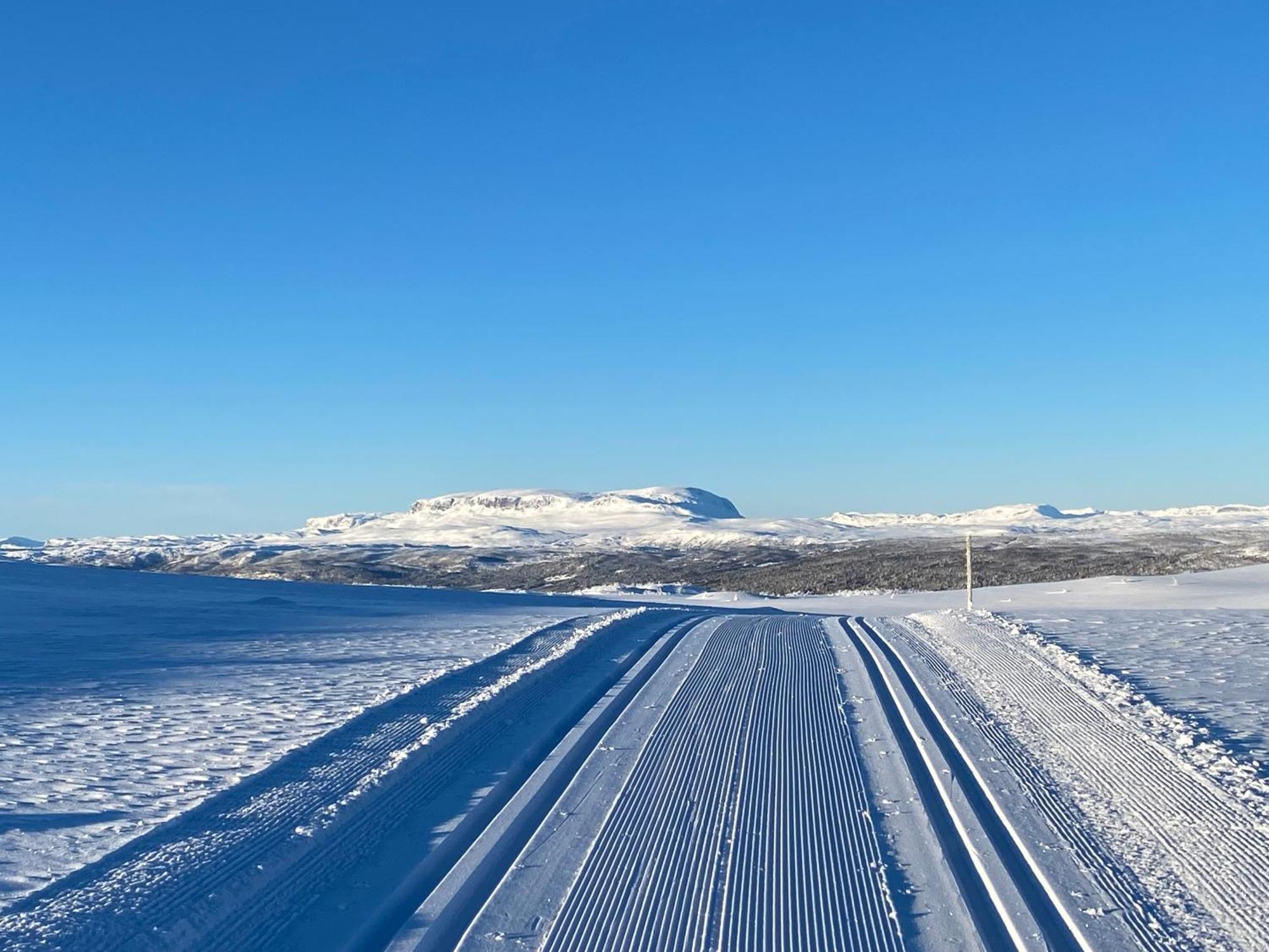 Koselig Familiehytte Pa Vakre Dagali - Naer Geilo Exterior foto